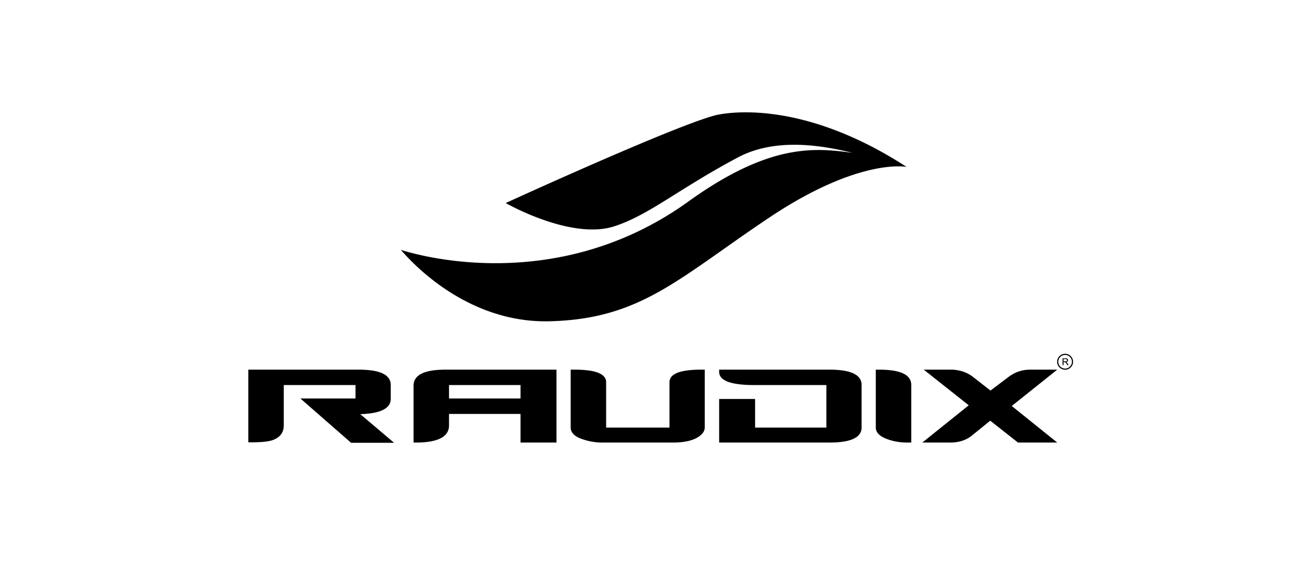 LOGO RAUDIX2-02
